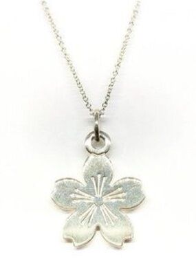 Limited Edition Tiffany and Co Necklace